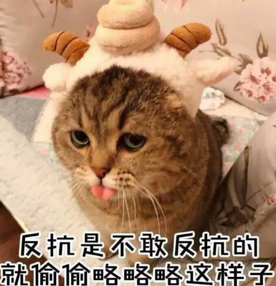 最近超火的表情包拥有后再也不怕聊天尴尬了