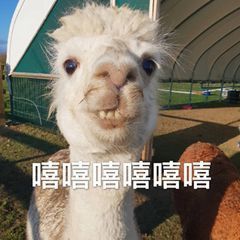 沙雕表情包|超级小声哔哔
