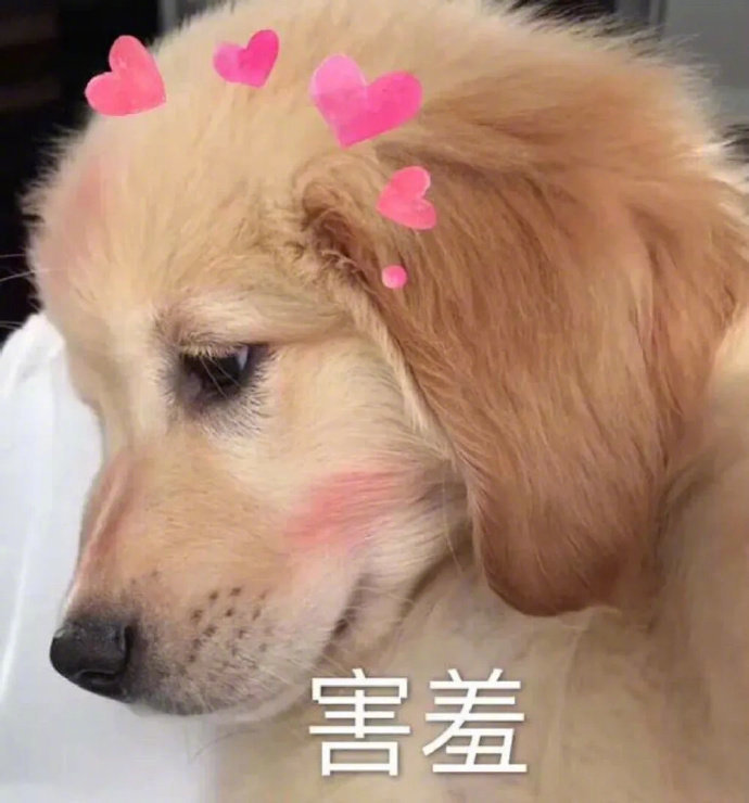 沙雕表情包|超级小声哔哔