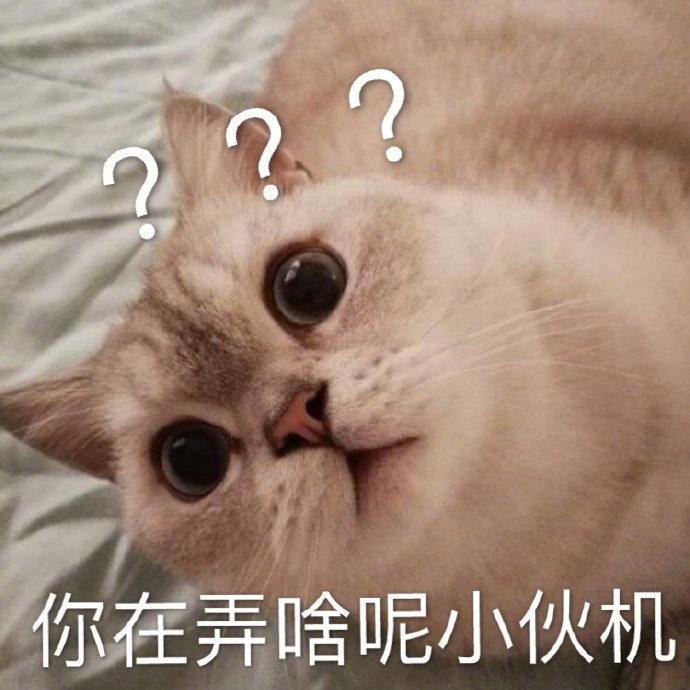 沙雕表情包l搞快点