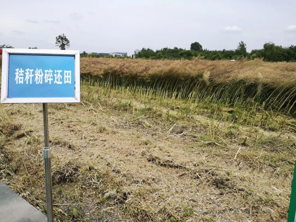 秸秆饲料化利用