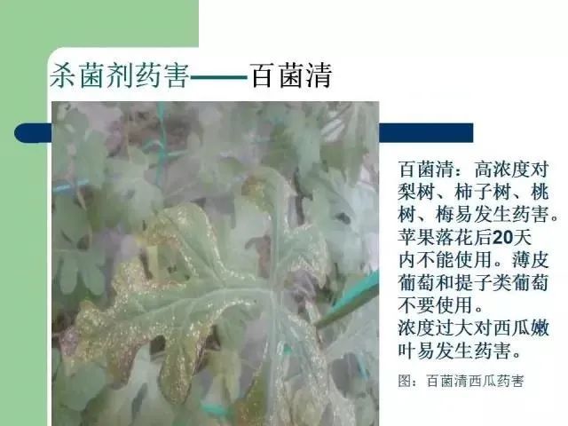 二,杀菌剂药害