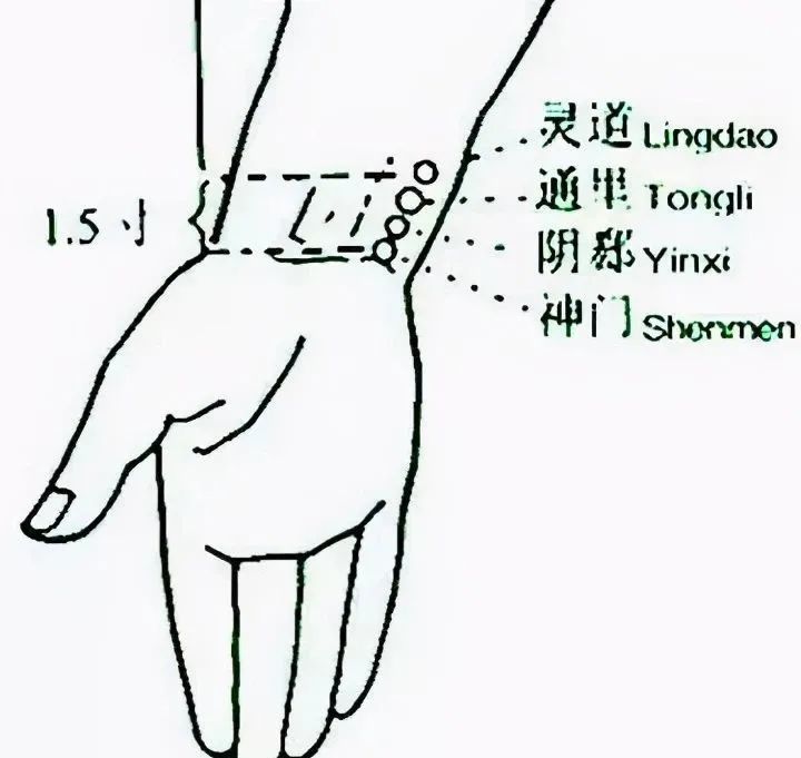 十二个穴道的功能主治
