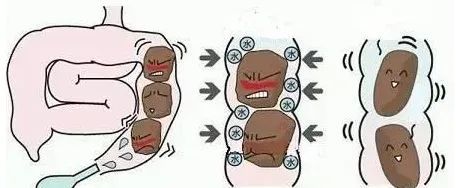 排便是一个自然而然的事情,不需要刻意规定在某一时间.
