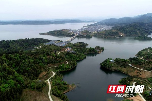 洪江市清江湖:"退养还湖"让湖区水域鸢飞鱼跃