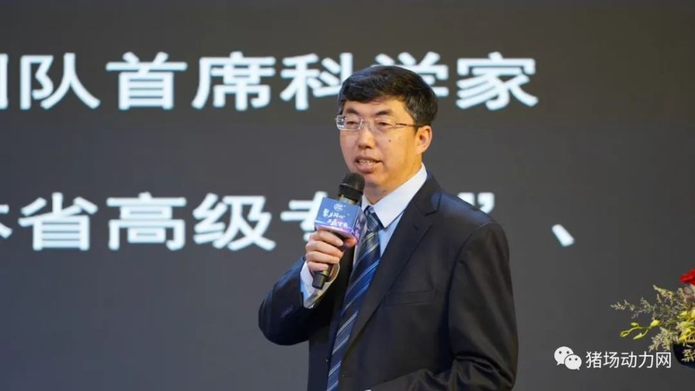 海南威特董事长_长影海南董事长巴图(2)