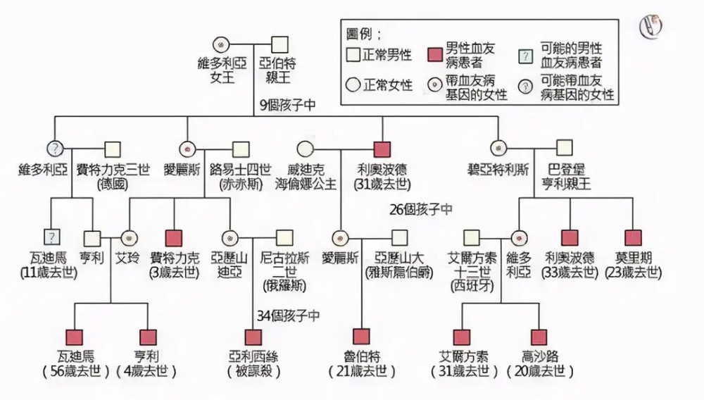 妹妹成妻子,侄女成配偶,为保证血统,日本皇室曾坚持近亲结婚