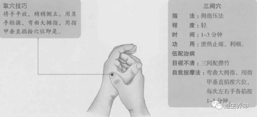 三间的准确位置图,三间穴的功效与作用