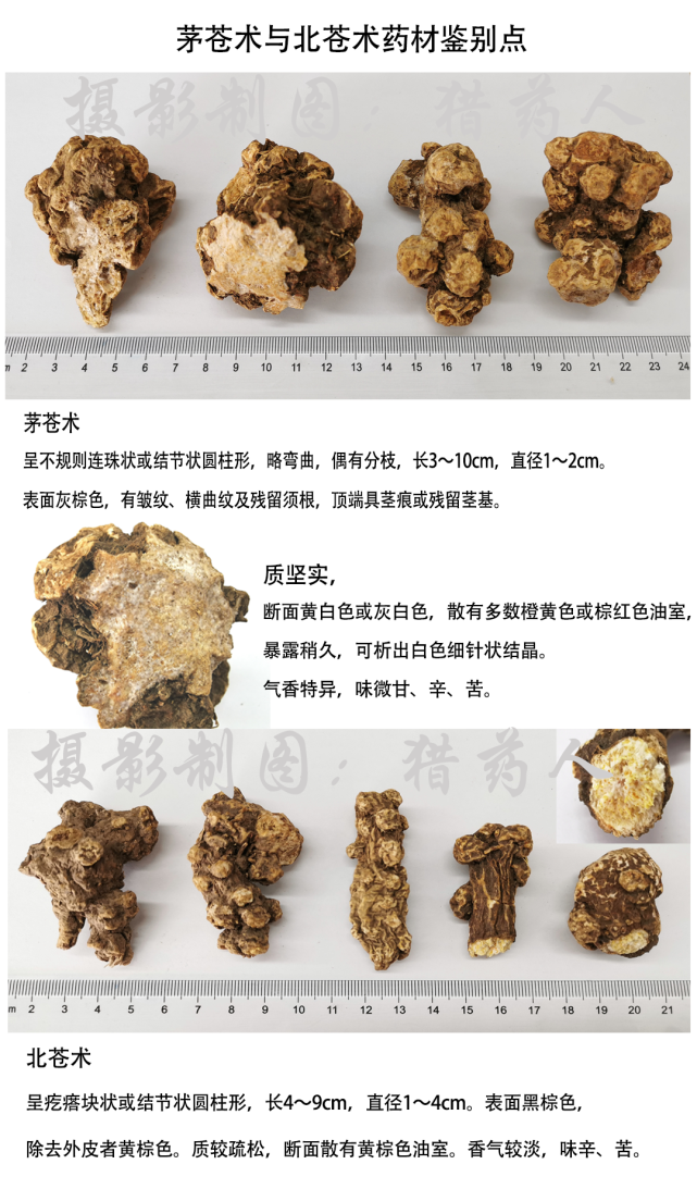 苍术5年涨价近400