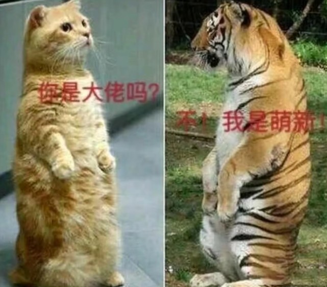 搞笑图片:左边脑袋是面粉,右边脑袋是水,一想问题,就满脑袋糨糊.