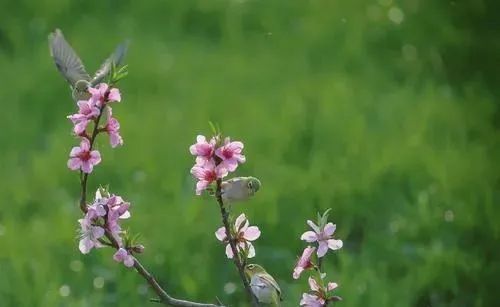 1804班杨瀚雄:书生才高,正青春,当争渡学海;学子识广,值少年,应竞攀