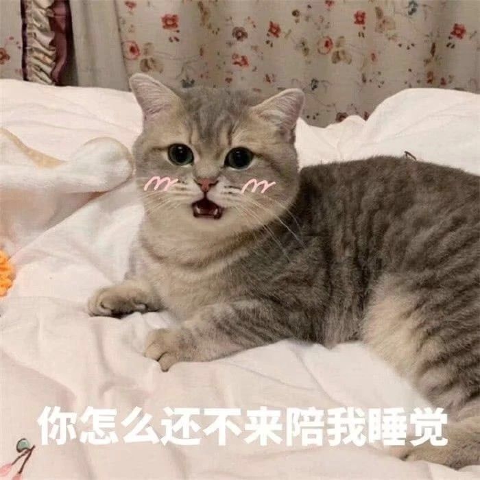 哄对象表情包哭成猪头