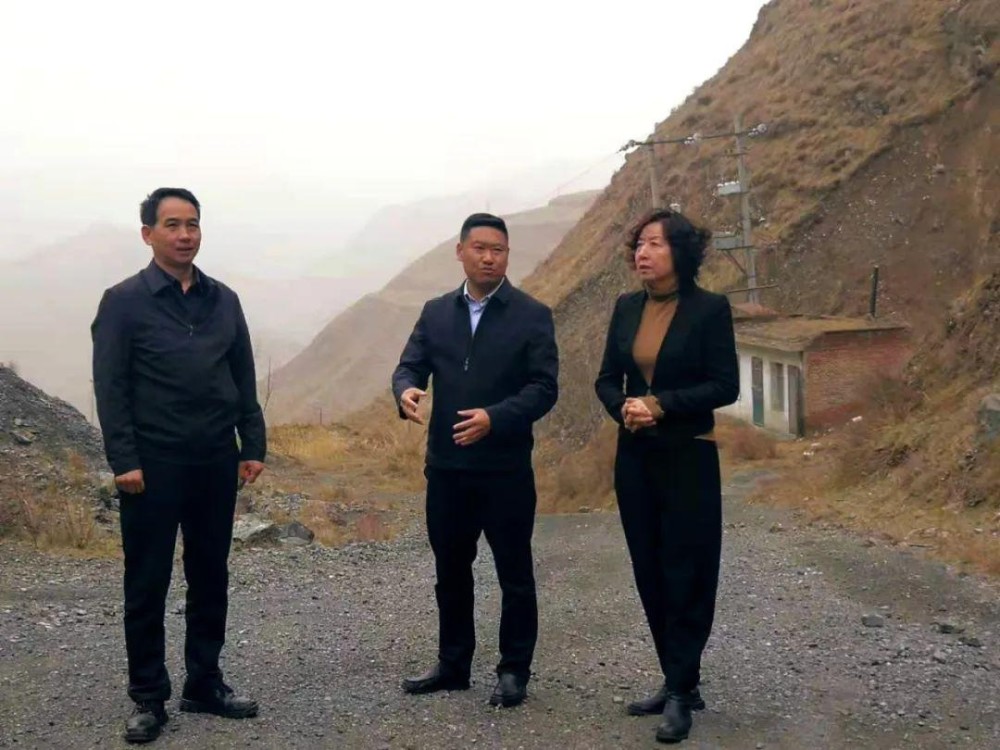 永靖县政府副县长刘康平,州县信访联席办,自然资源部门相关负责人参与