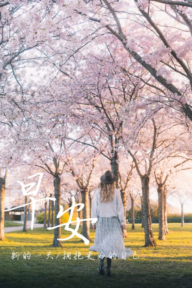 三十岁之前努力犯错,拼命尝试,三十岁之后开始靠岸,学着靠谱.