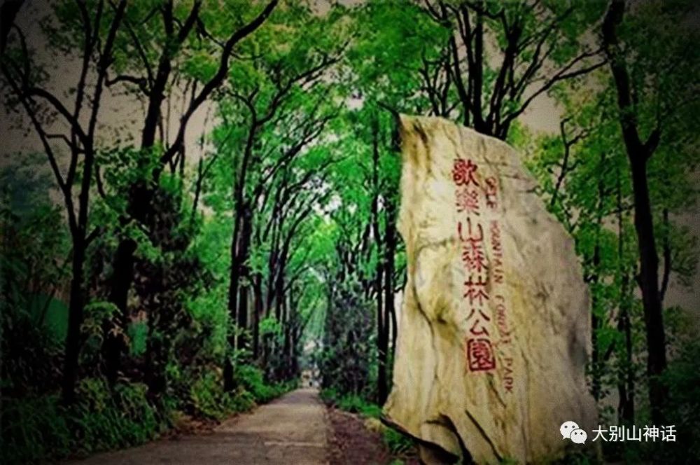 北方:游重庆歌乐山森林公园