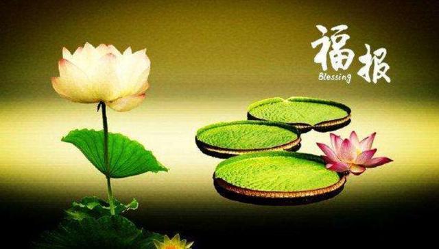 你的善良里,藏着自己一生的福报,同意吗?