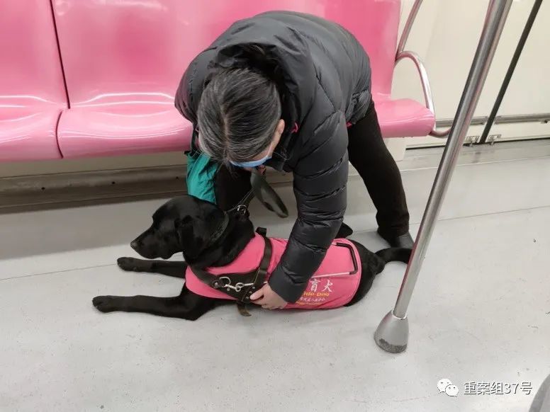 刘桃妹在地铁上帮助查德调整身体位置,以防被人踩到.