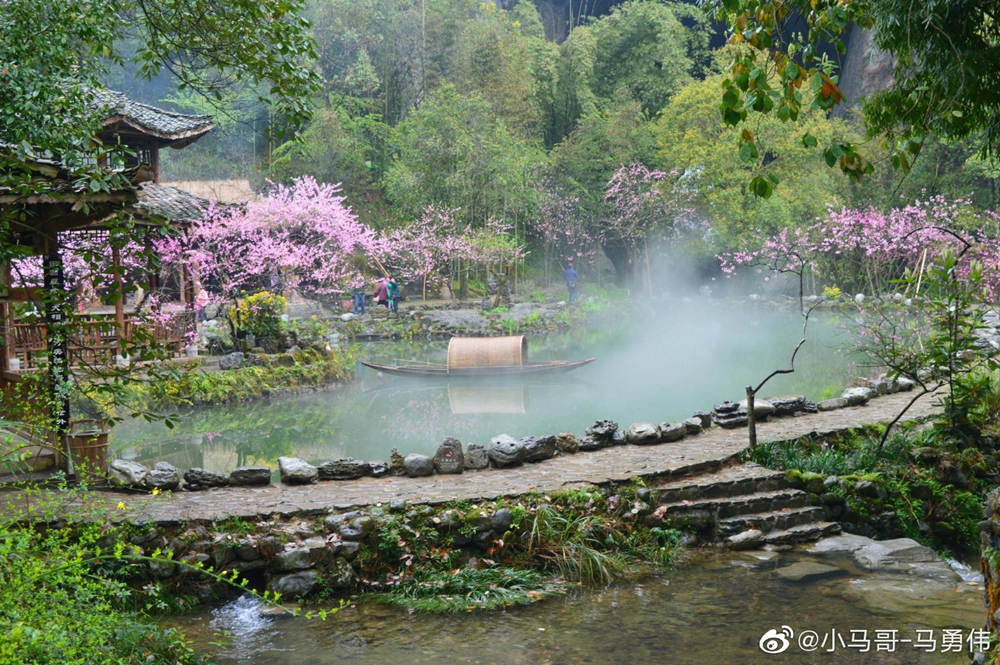 《向往的生活5》开播!种草这一宝藏小众地,"桃花源记"