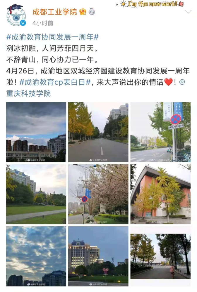 成渝高校cp表白日看看你们学校处对了吗