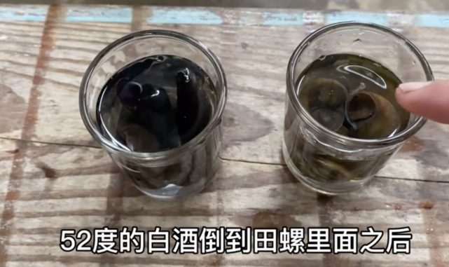 较真|把田螺泡进52度白酒后,看见了好多脏东西,到底是