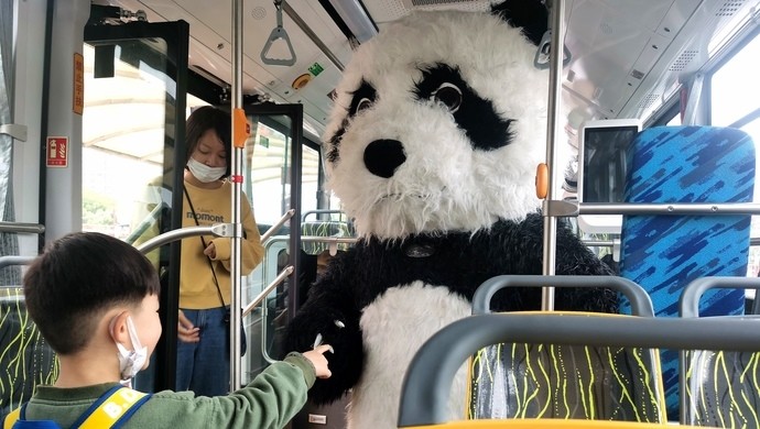 上海首批熊猫公交车现身滨江快来看看这些可爱担当