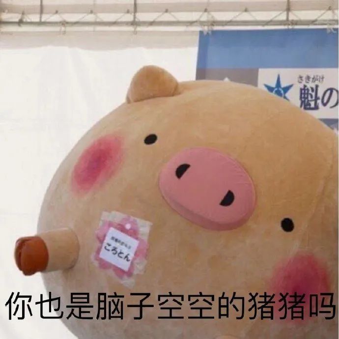 表情包:醒醒啊,该读书了