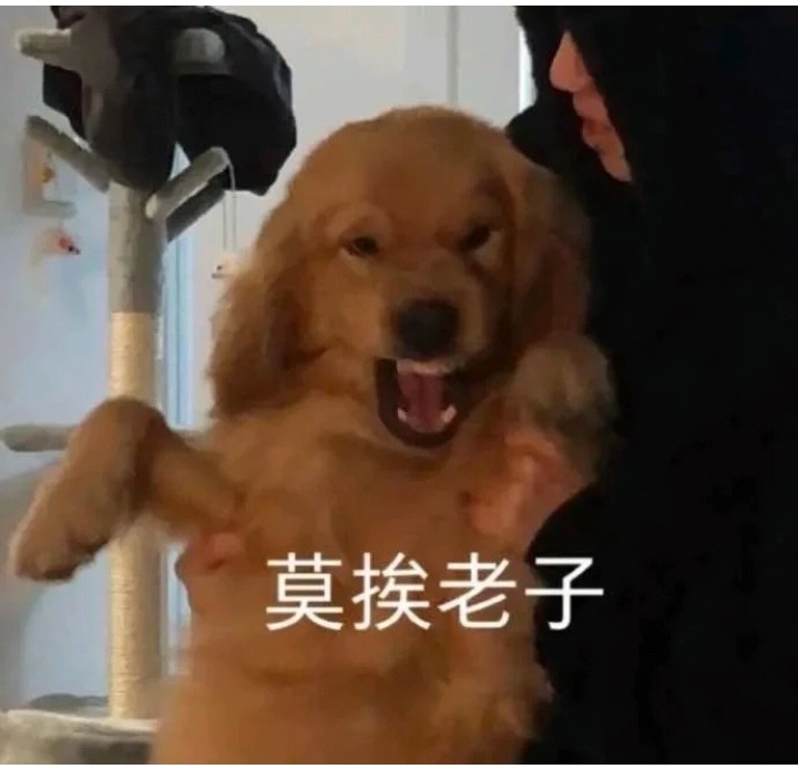 莫挨老子和人沾边的事你是一件没干