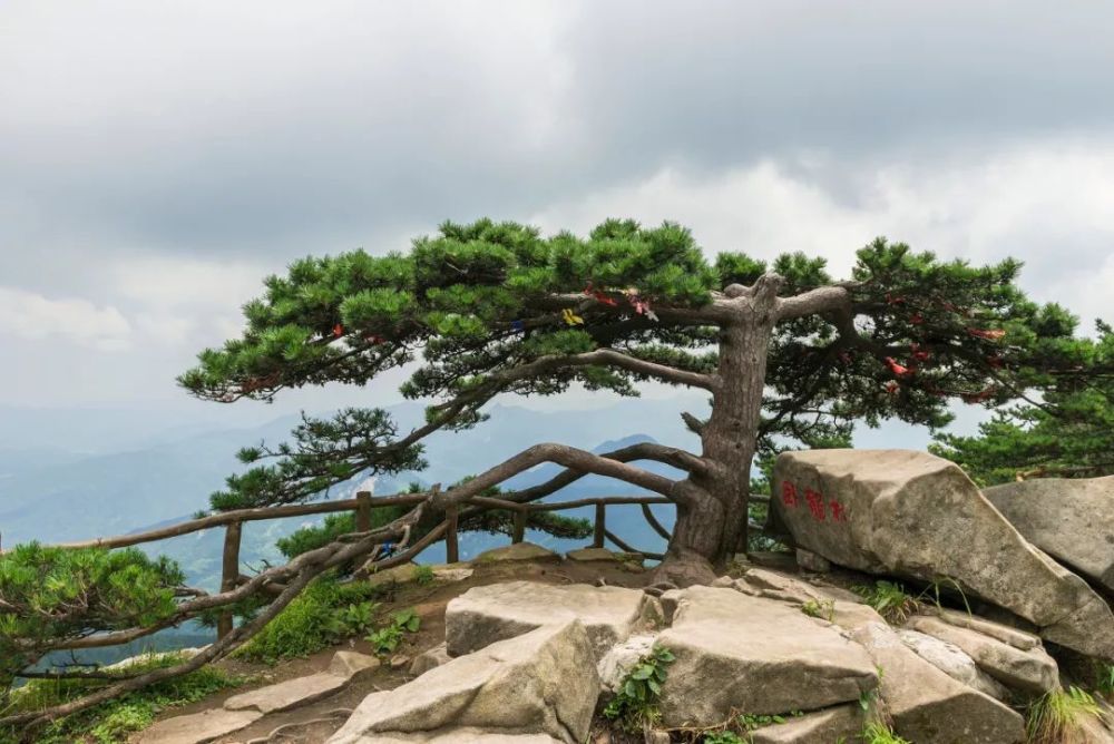 罗田大别山薄刀峰