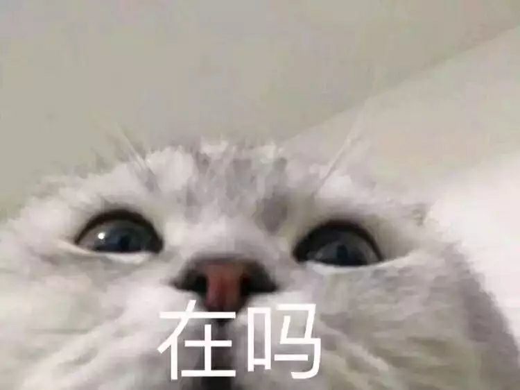 哄对象表情包:哭成猪头
