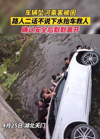 梦见自己车内一条大蛇劝它离开了，一场心灵深处的自我对话与成长之旅