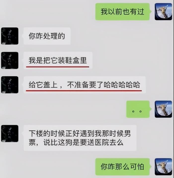 张恒语音聊天记录曝光,郑爽人设崩塌,偷税漏税还帮人洗钱?