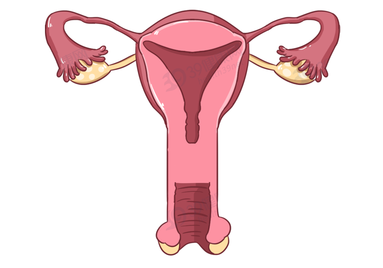 女孩腹痛被确诊石女母亲崩溃后悔石女和正常人有何区别