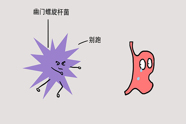 胃里感染了幽门螺旋杆菌,就会得胃癌?什么情况下一定要根治?