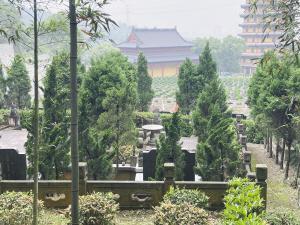 会稽山天福园惊现"天价墓"