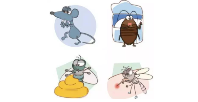 病媒生物防制|消除"四害,预防疾病