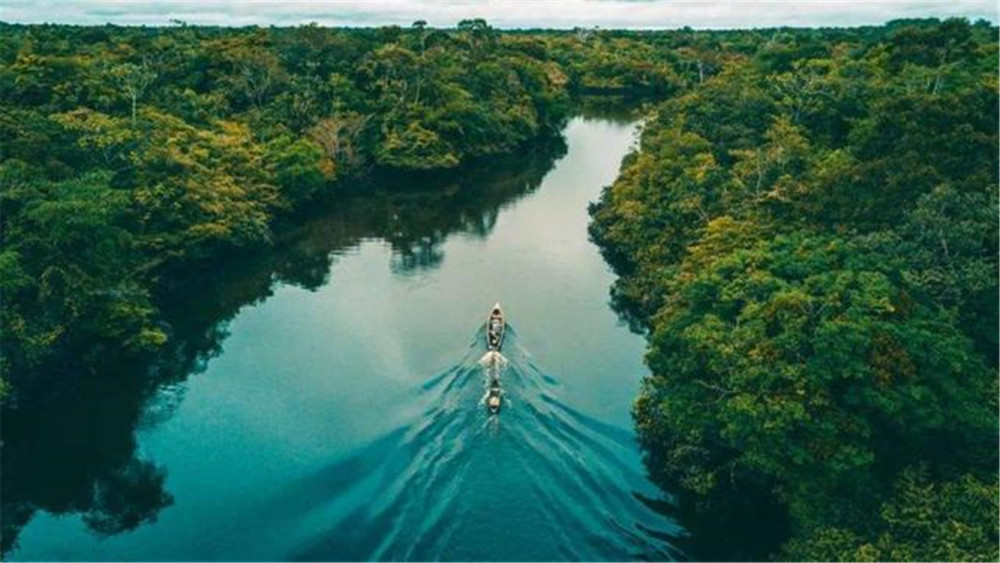 当地人都不敢下河游泳的亚马逊河,究竟有多恐怖?