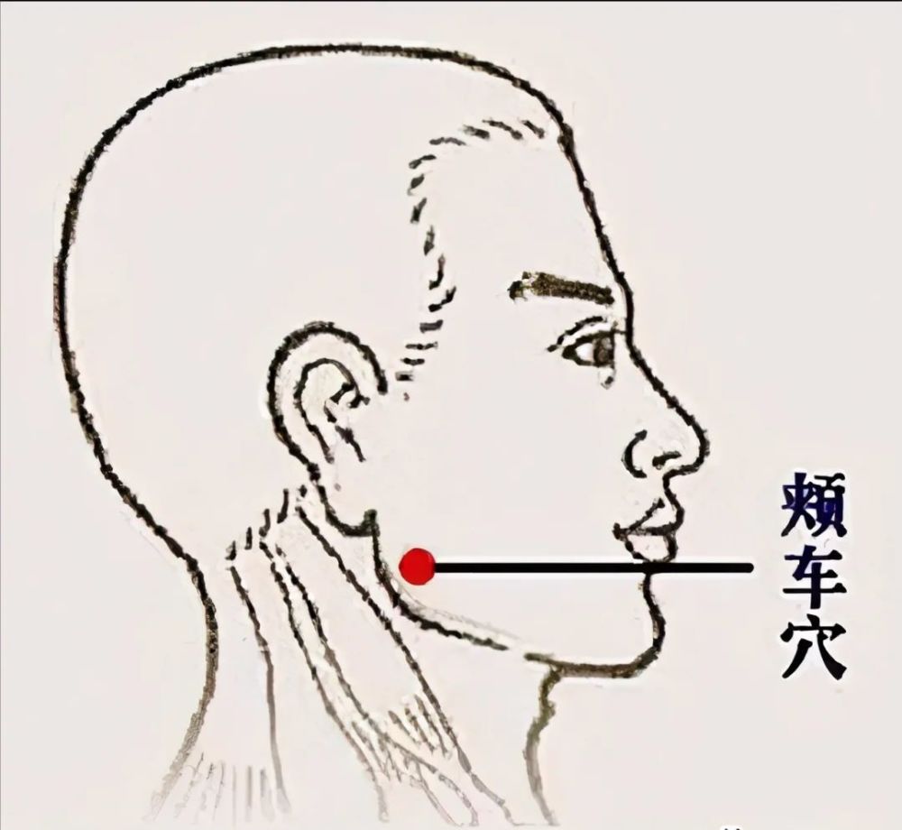 颊车穴在面颊部,下颌角前上方,耳下大约一横指处,咀嚼时肌肉隆起时