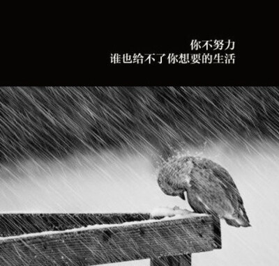 人生感悟:自己的人生,需要自己争取