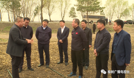 榆树市委书记高山等市领导检查全市春耕生产和旱田示范区建设情况