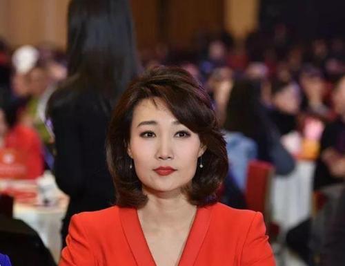 央视名嘴李梓萌:戴假发工作13年,44岁仍单身,康辉为她