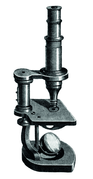 进化论的提出者达尔文在研究生物学时也十分信赖蔡司的显微镜.