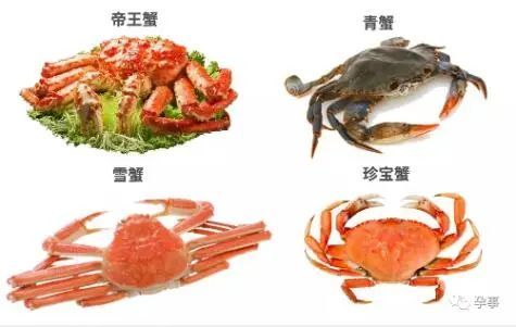 因为螃蟹富含铁,含钙高,热量低,还富含omega 3脂肪酸,蛋白质等非常多