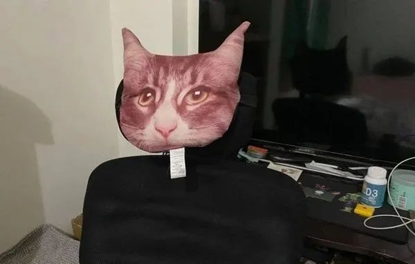 猫发出恐怖声低沉又沙哑饲主哭笑不得这只是抱枕而已啦