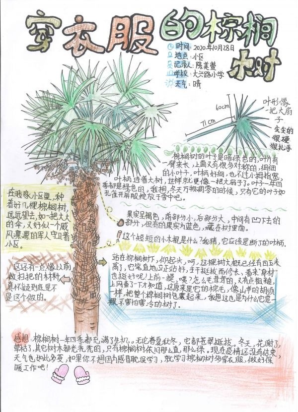 看孩子们眼中的大自然解放公园展出150幅精选自然笔记