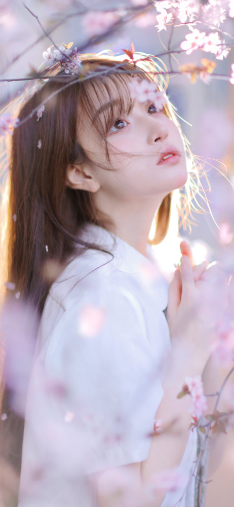 神仙小清新美女背景