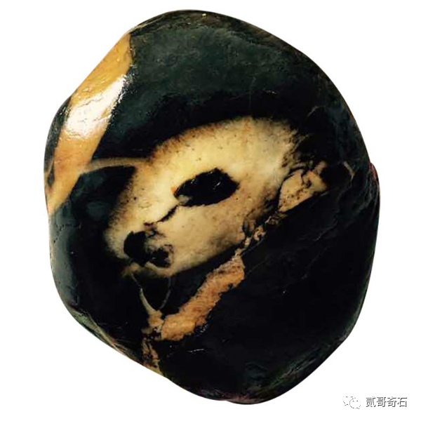 男子河边捡个熊猫图案奇石,专家估值200万,石友:卖掉才算值钱