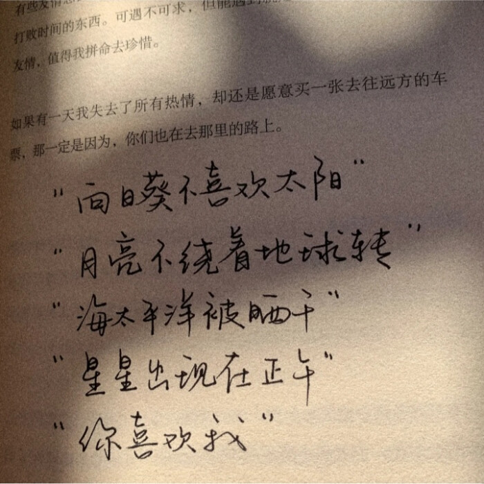 手写唯美短剧文案，情感之花，绽放于字里行间，情感绽放，手写唯美短剧之字里行间的花火