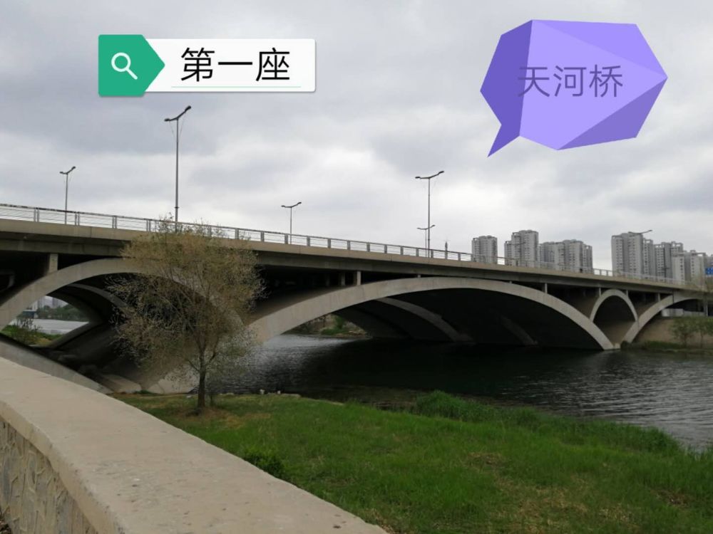 春游天津海河桥