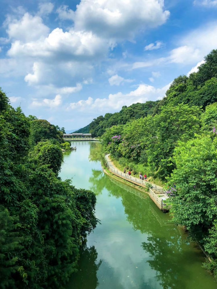 广州:帽峰山森林公园绿意盎然的风景,令人心旷神怡