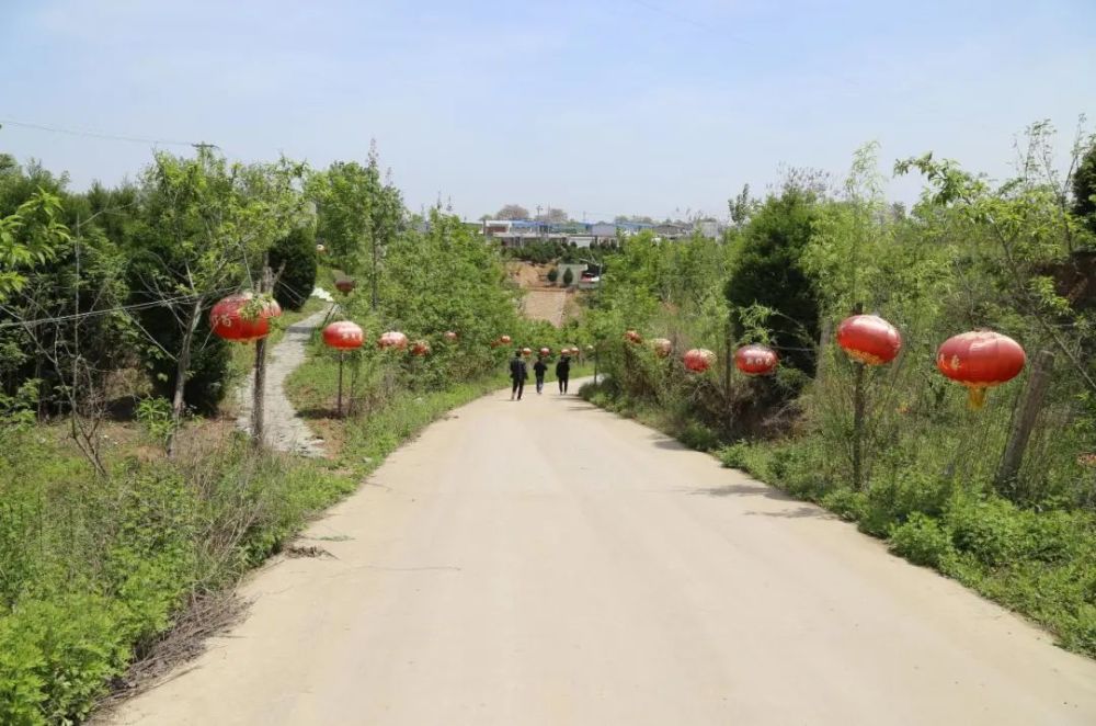 禹州市开展脱贫攻坚网友采风活动 走进鸿畅镇